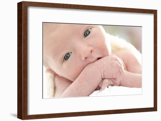 Newborn Baby Boy-Ruth Jenkinson-Framed Photographic Print