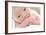 Newborn Baby Boy-Ruth Jenkinson-Framed Photographic Print