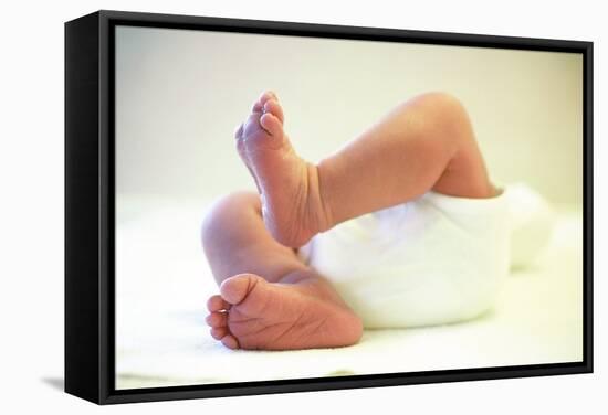 Newborn Baby's Feet-Mauro Fermariello-Framed Premier Image Canvas