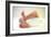 Newborn Baby's Feet-Mauro Fermariello-Framed Premium Photographic Print