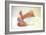 Newborn Baby's Feet-Mauro Fermariello-Framed Photographic Print