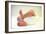 Newborn Baby's Feet-Mauro Fermariello-Framed Photographic Print