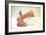 Newborn Baby's Feet-Mauro Fermariello-Framed Photographic Print