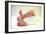 Newborn Baby's Feet-Mauro Fermariello-Framed Photographic Print