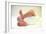 Newborn Baby's Feet-Mauro Fermariello-Framed Photographic Print