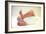 Newborn Baby's Feet-Mauro Fermariello-Framed Photographic Print