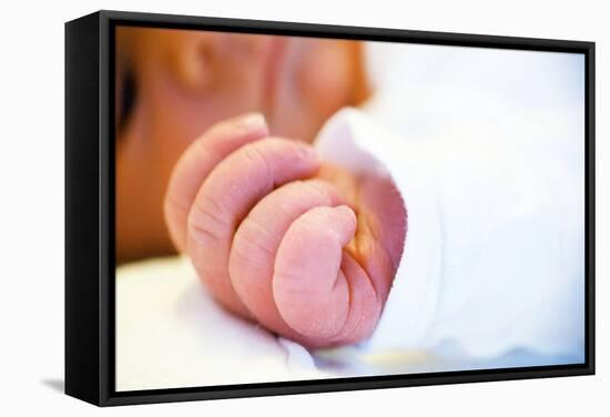 Newborn Baby's Hand-Mauro Fermariello-Framed Premier Image Canvas