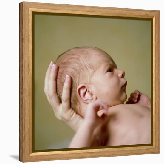 Newborn Baby-Cristina-Framed Premier Image Canvas