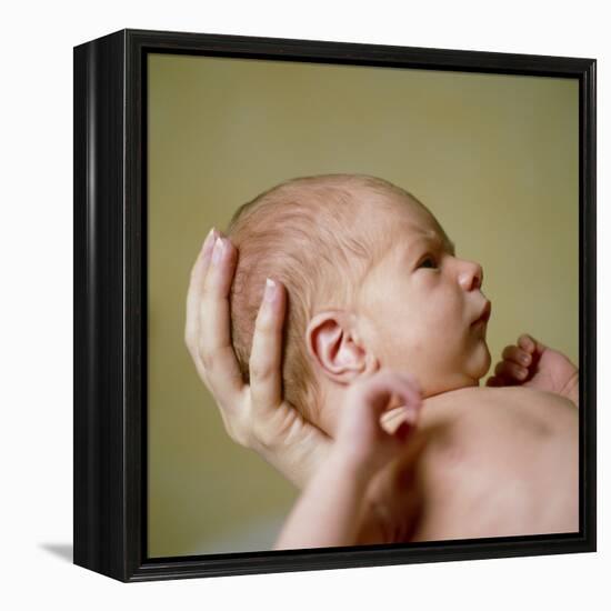 Newborn Baby-Cristina-Framed Premier Image Canvas