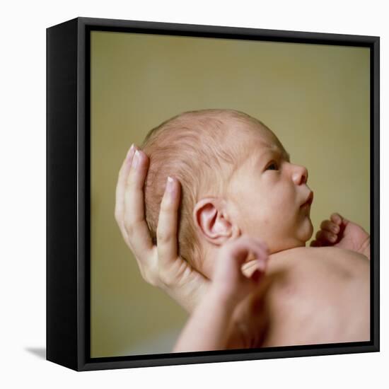 Newborn Baby-Cristina-Framed Premier Image Canvas