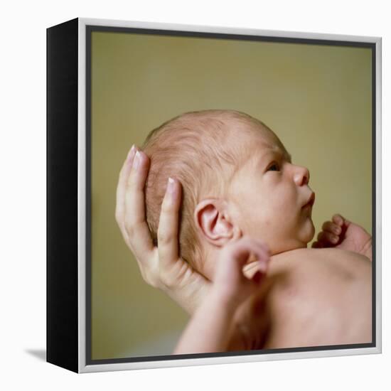 Newborn Baby-Cristina-Framed Premier Image Canvas