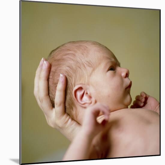 Newborn Baby-Cristina-Mounted Premium Photographic Print
