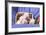 Newborn Bulldogs in Basket-Zandria Muench Beraldo-Framed Photographic Print