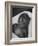 Newborn Gorilla Born in an Ohio Zoo Posing for a Picture-Grey Villet-Framed Photographic Print