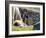 Newborn Llama Resting on Main Plaza, Machu Picchu, Peru-Diane Johnson-Framed Photographic Print