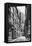 Newcastle Street, London, 1926-1927-McLeish-Framed Premier Image Canvas