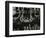 Newel Art Gallery, New York, 1943-Brett Weston-Framed Photographic Print