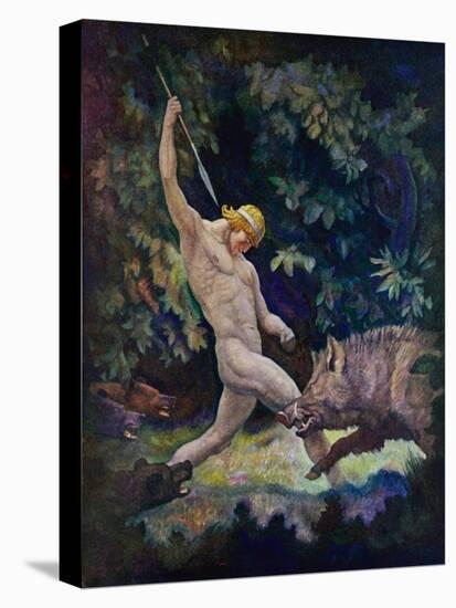 Stretched Canvas Print, , large