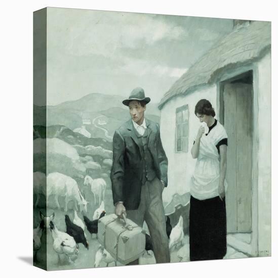 Stretched Canvas Print, , large