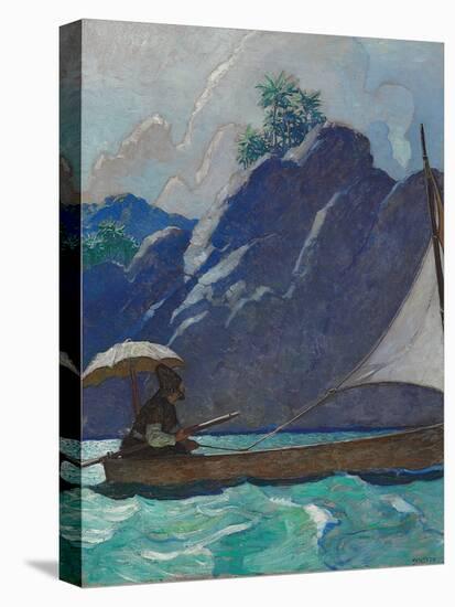 Stretched Canvas Print, , large