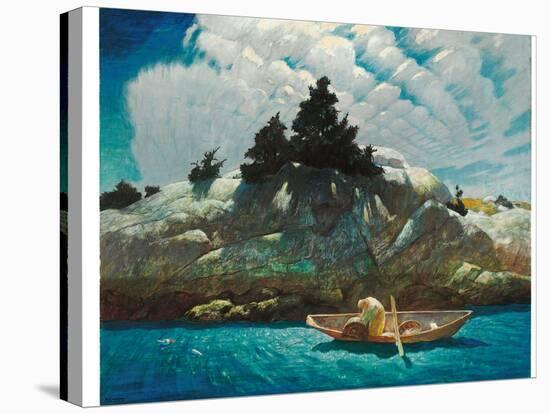 Stretched Canvas Print, , large