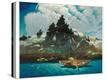 Stretched Canvas Print