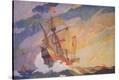 Stretched Canvas Print