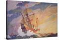 Stretched Canvas Print
