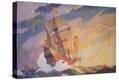 Stretched Canvas Print