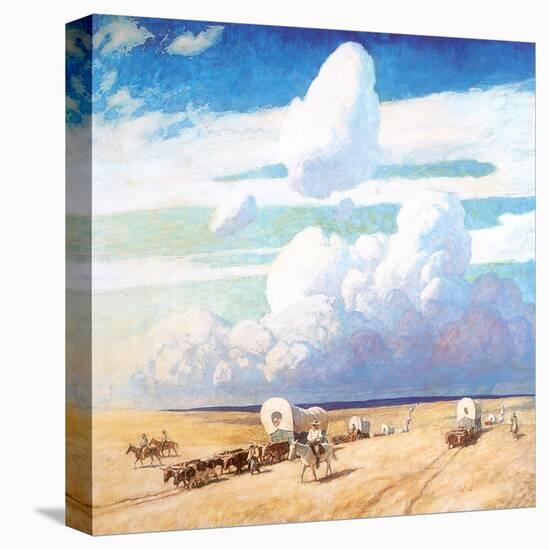 Stretched Canvas Print, , large