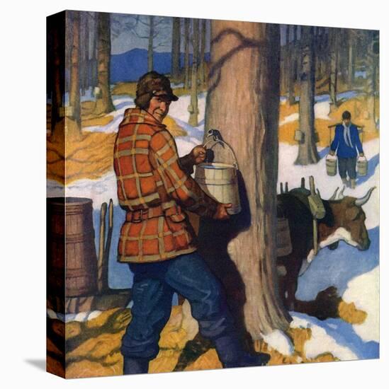 Stretched Canvas Print, , large