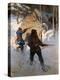 Stretched Canvas Print