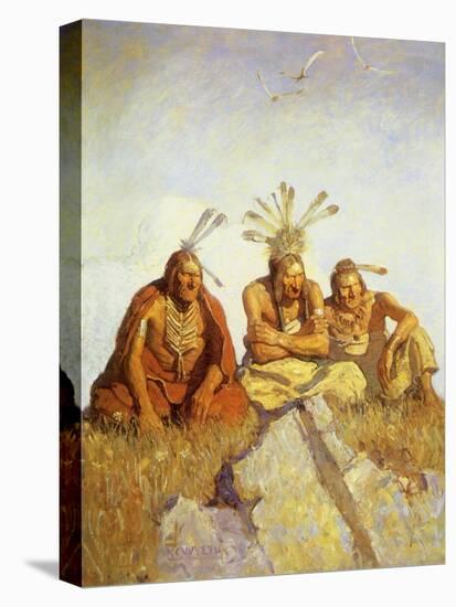 Stretched Canvas Print, , large