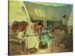 Stretched Canvas Print