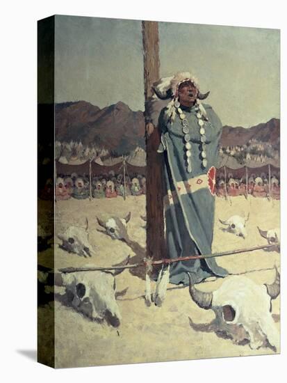 Stretched Canvas Print, , large