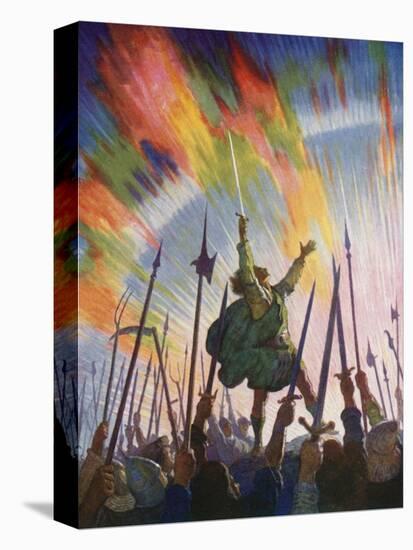 Stretched Canvas Print, , large