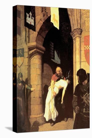 Stretched Canvas Print, , large