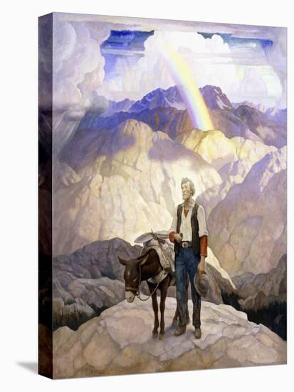 Stretched Canvas Print, , large