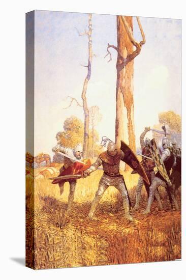 Stretched Canvas Print, , large