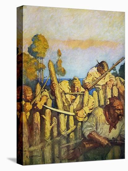 Stretched Canvas Print, , large