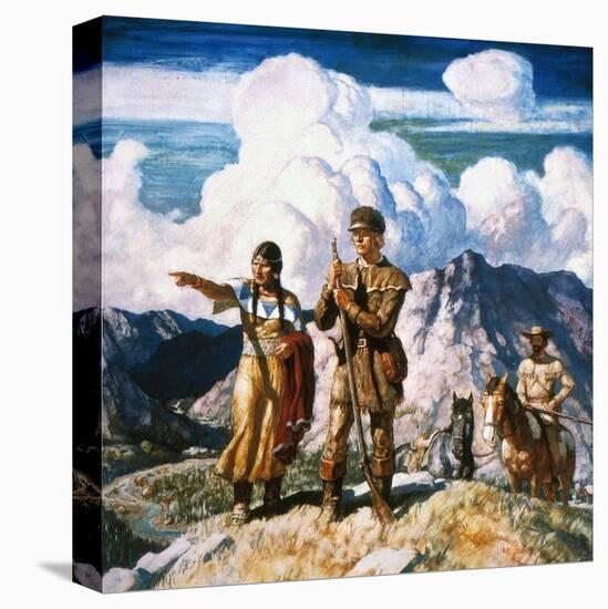 Stretched Canvas Print, , large
