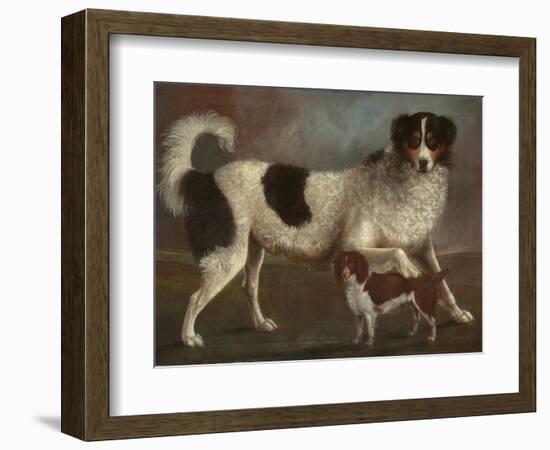 Newfoundland and Spaniel in a Coastal Landscape-null-Framed Giclee Print