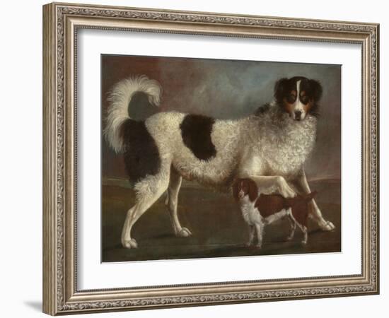 Newfoundland and Spaniel in a Coastal Landscape-null-Framed Giclee Print