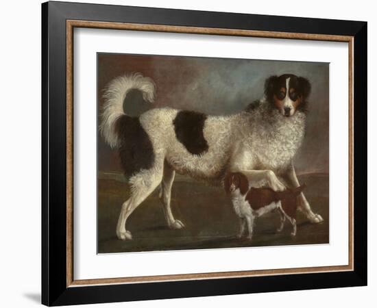 Newfoundland and Spaniel in a Coastal Landscape-null-Framed Giclee Print