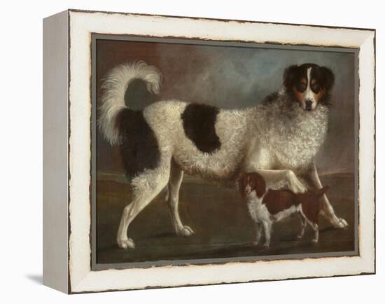 Newfoundland and Spaniel in a Coastal Landscape-null-Framed Premier Image Canvas