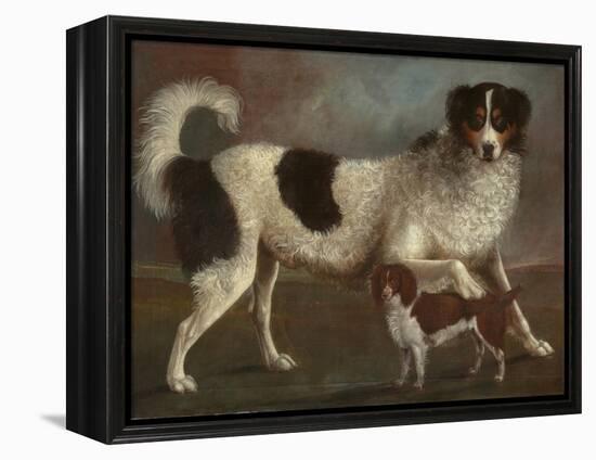 Newfoundland and Spaniel in a Coastal Landscape-null-Framed Premier Image Canvas