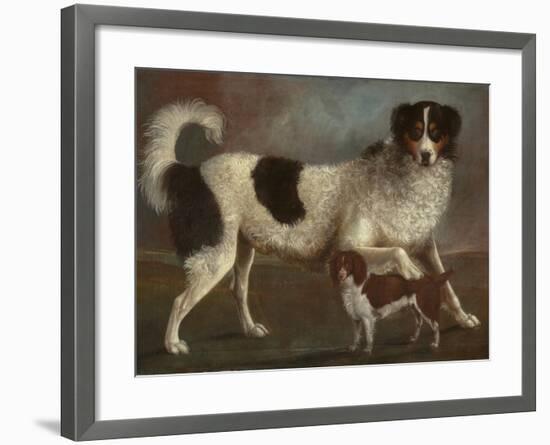 Newfoundland and Spaniel in a Coastal Landscape-null-Framed Giclee Print