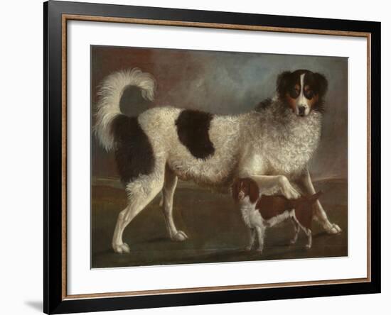 Newfoundland and Spaniel in a Coastal Landscape-null-Framed Giclee Print