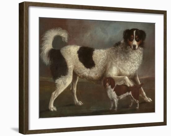 Newfoundland and Spaniel in a Coastal Landscape-null-Framed Giclee Print