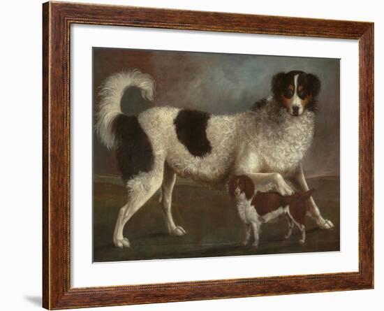 Newfoundland and Spaniel in a Coastal Landscape-null-Framed Giclee Print